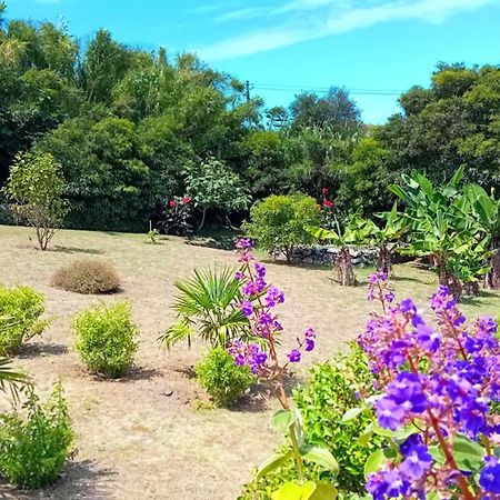 Faial Cottage B&B Cedros 외부 사진