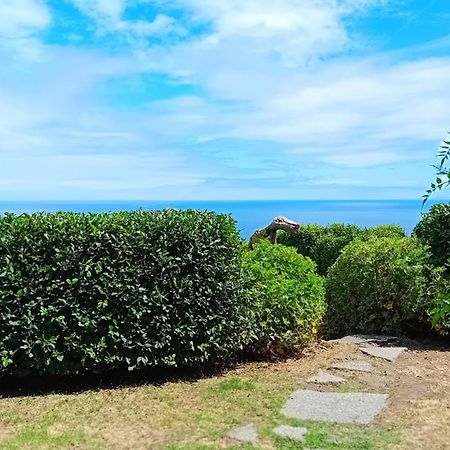Faial Cottage B&B Cedros 외부 사진