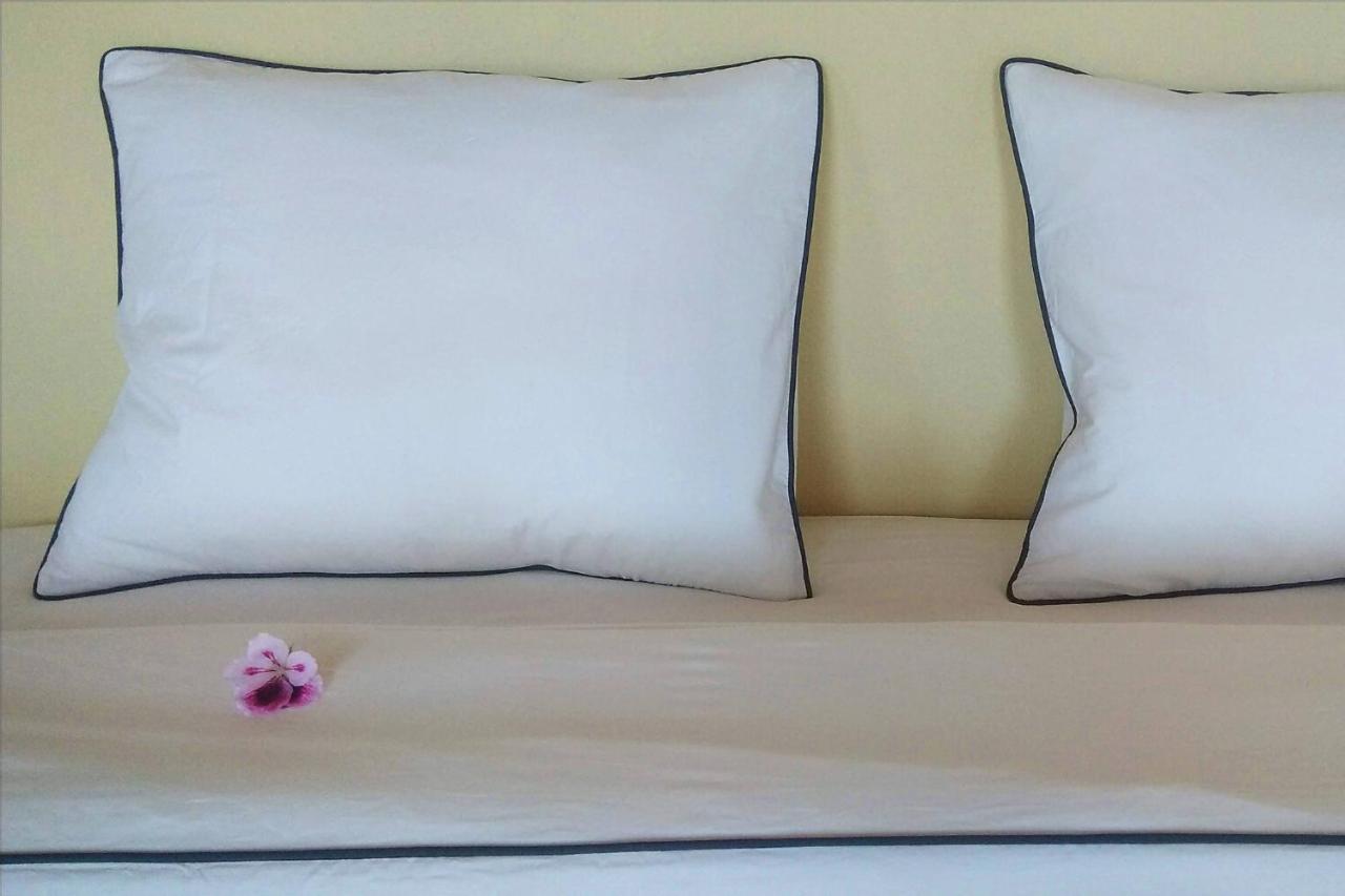 Faial Cottage B&B Cedros 외부 사진