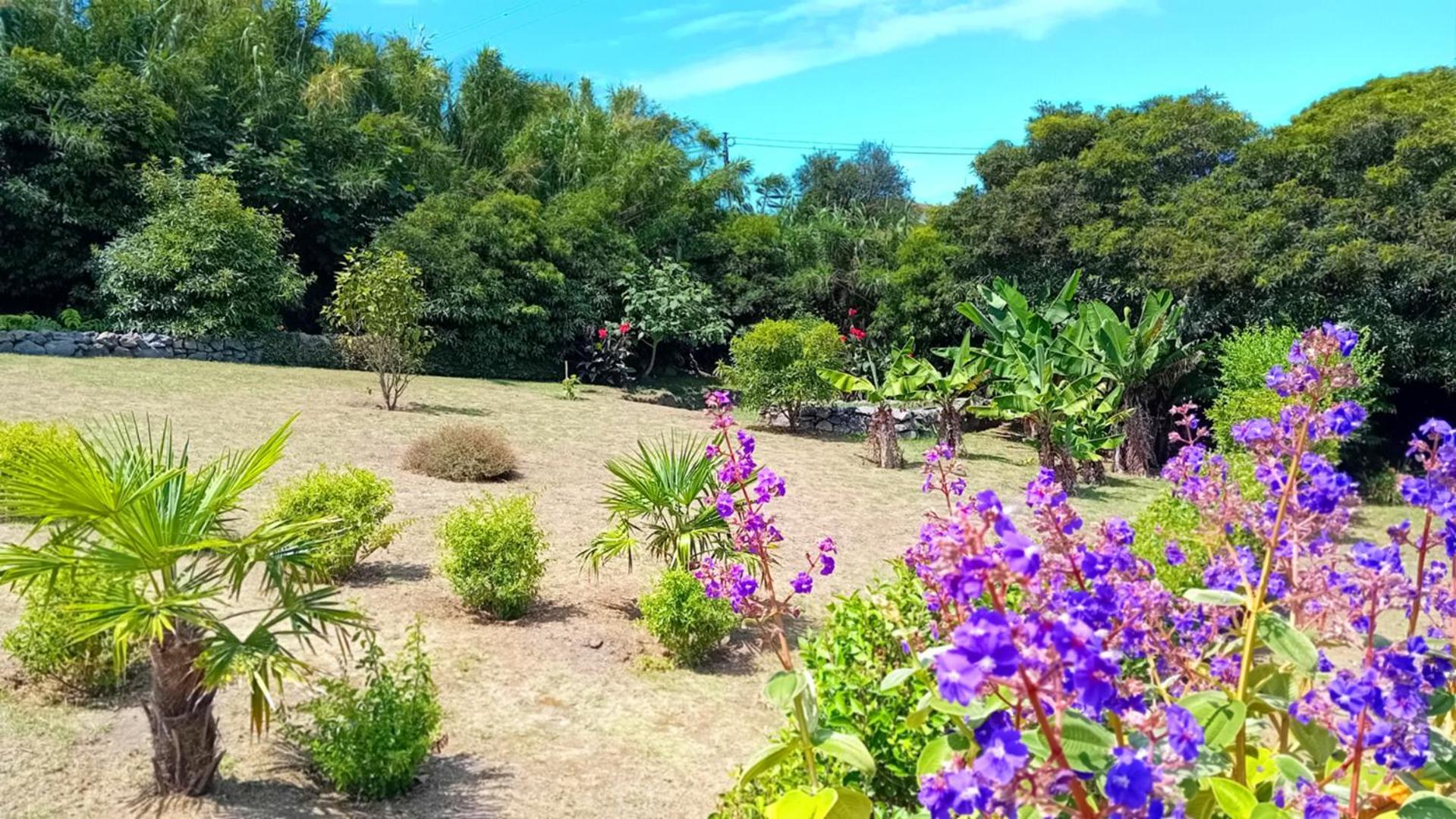 Faial Cottage B&B Cedros 외부 사진