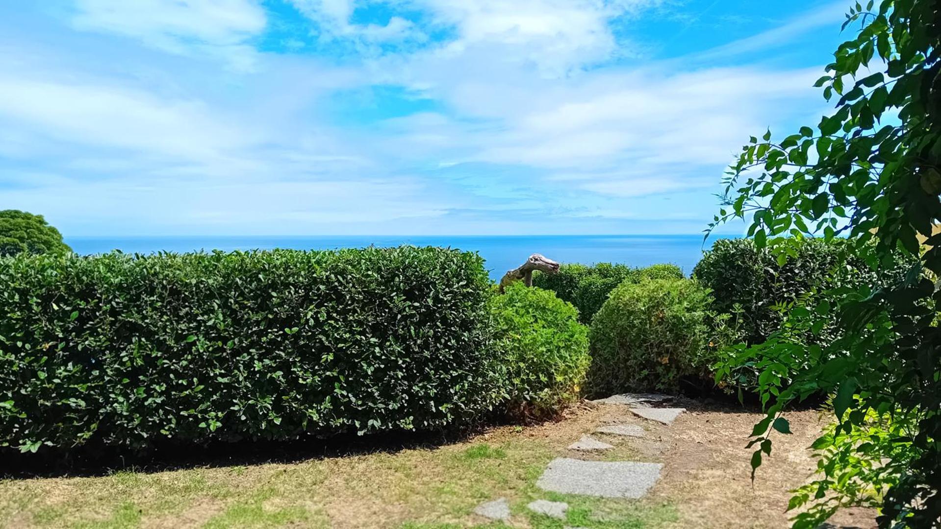 Faial Cottage B&B Cedros 외부 사진