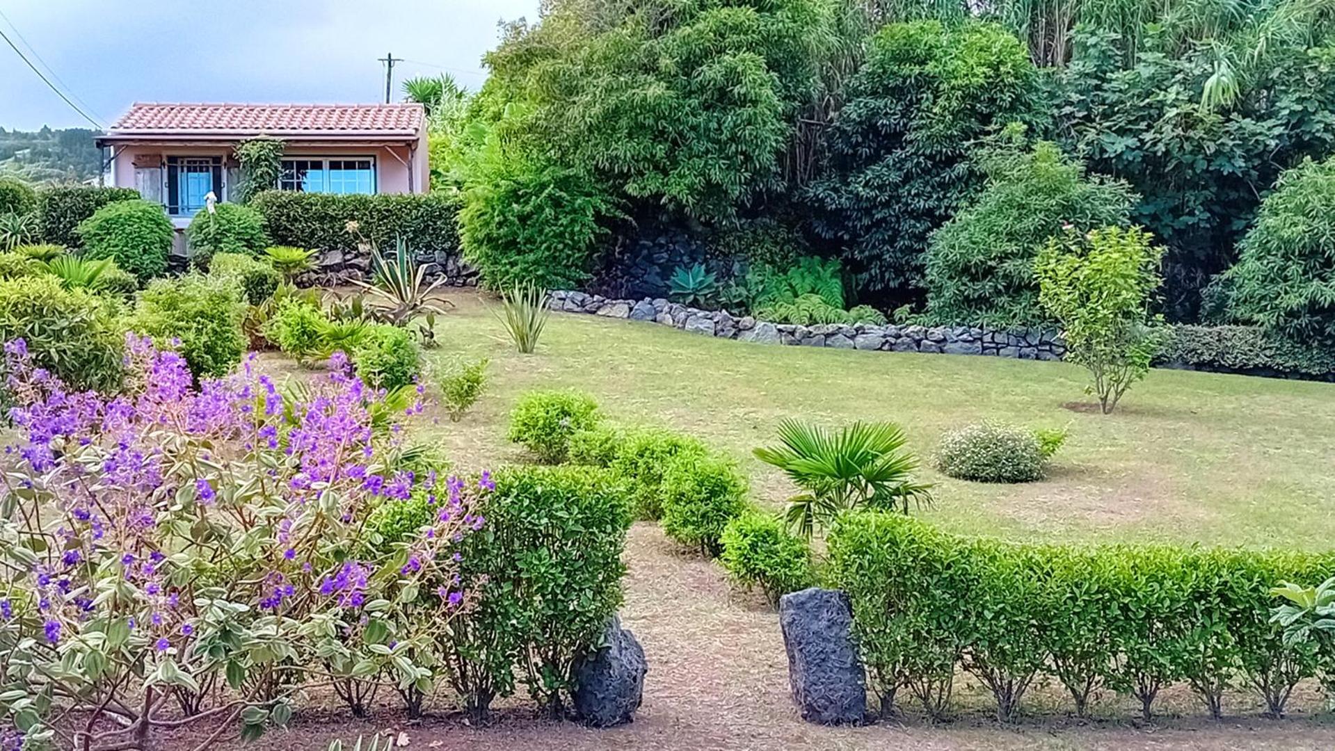 Faial Cottage B&B Cedros 외부 사진